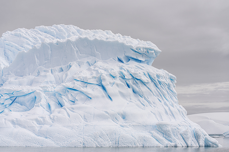 SEA_VEN_Antarctica_Dec_17_23_DF_pleneau-15